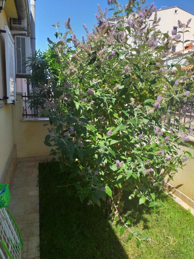 Apartman Vida 普拉 外观 照片